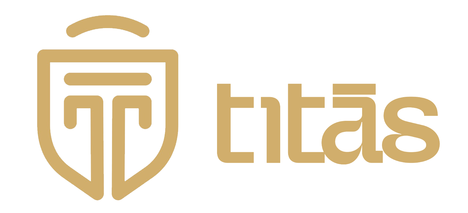 Imagem do logo do formulário